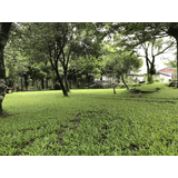 Campsite - 3